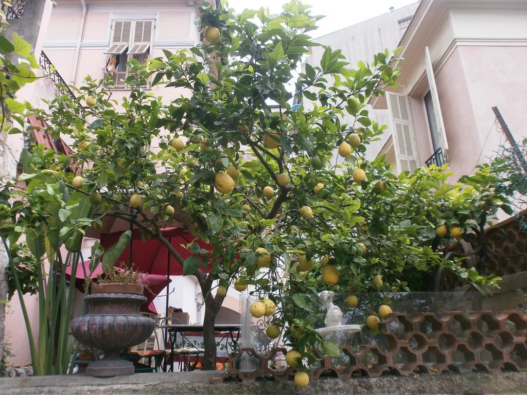 Villa Saphir Nice Bagian luar foto